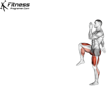 Walking High Knee Lunges