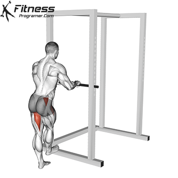 Lateral Leg Swings