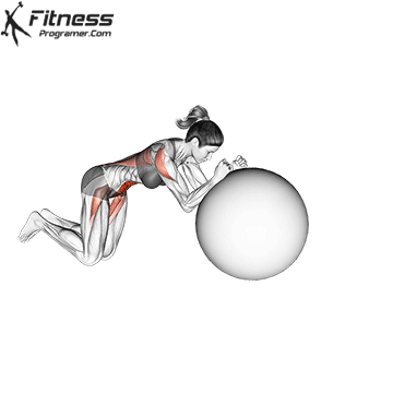 The Best Exercises To Boost Motor Skills In Adults & Athletes 4 Swiss Ball Rollout