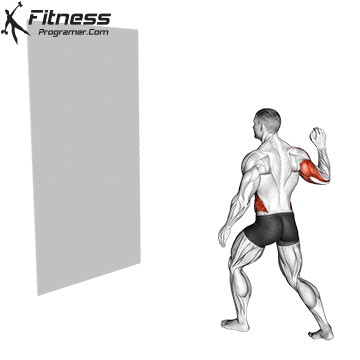 The Best Exercises To Boost Motor Skills In Adults & Athletes 12 Reaction Ball Throw