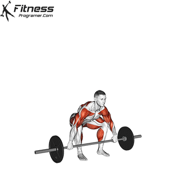 The Best Exercises To Boost Motor Skills In Adults & Athletes 16 Barbell Snatch