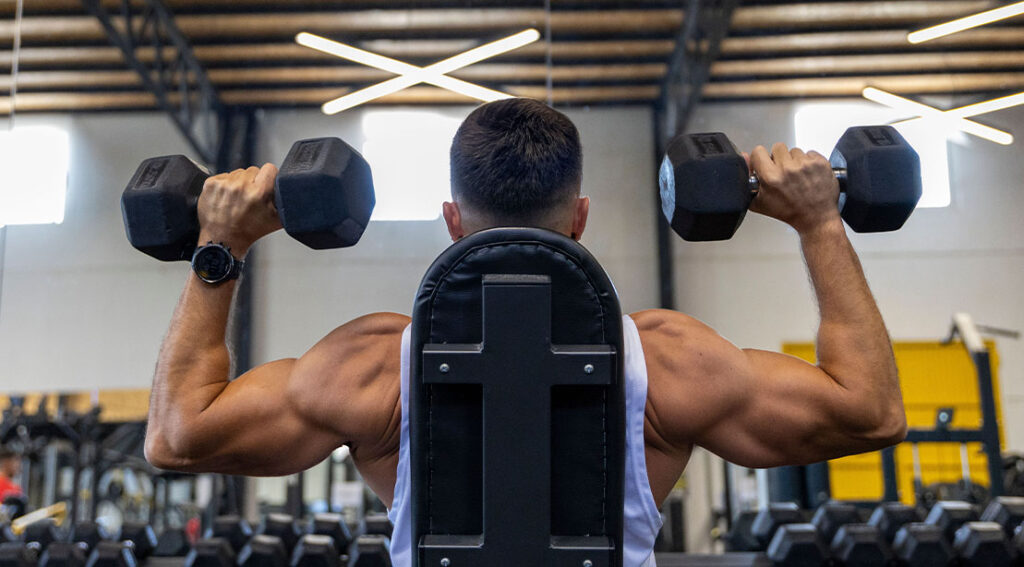 Master the Seated Dumbbell Shoulder Press: Perfect Form, Setup, and Technique for Bigger Shoulders 2 Man with muscular anterior delt muscles performing a overhead dumbbell press at the gym