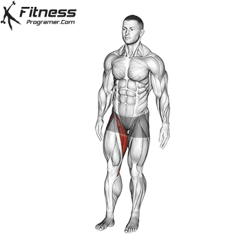 The Best Exercises To Boost Motor Skills In Adults & Athletes 3 Standing Leg Circles