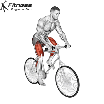 Training, Recovery, And Long-Term Safety Tips » Fitness Programer 3 Training Recovery And Long Term Safety Tips raquo Fitness Programer
