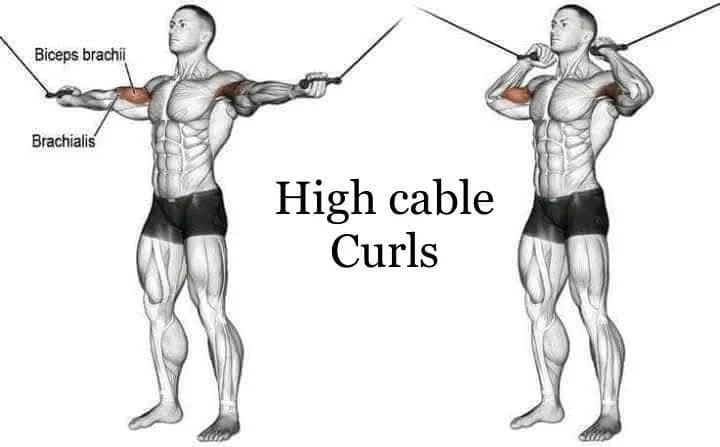 A person exercising for fitness and a healthier lifestyle.