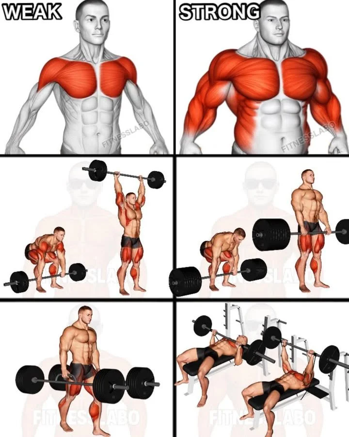 Strong arm emoji representing fitness and strength training.