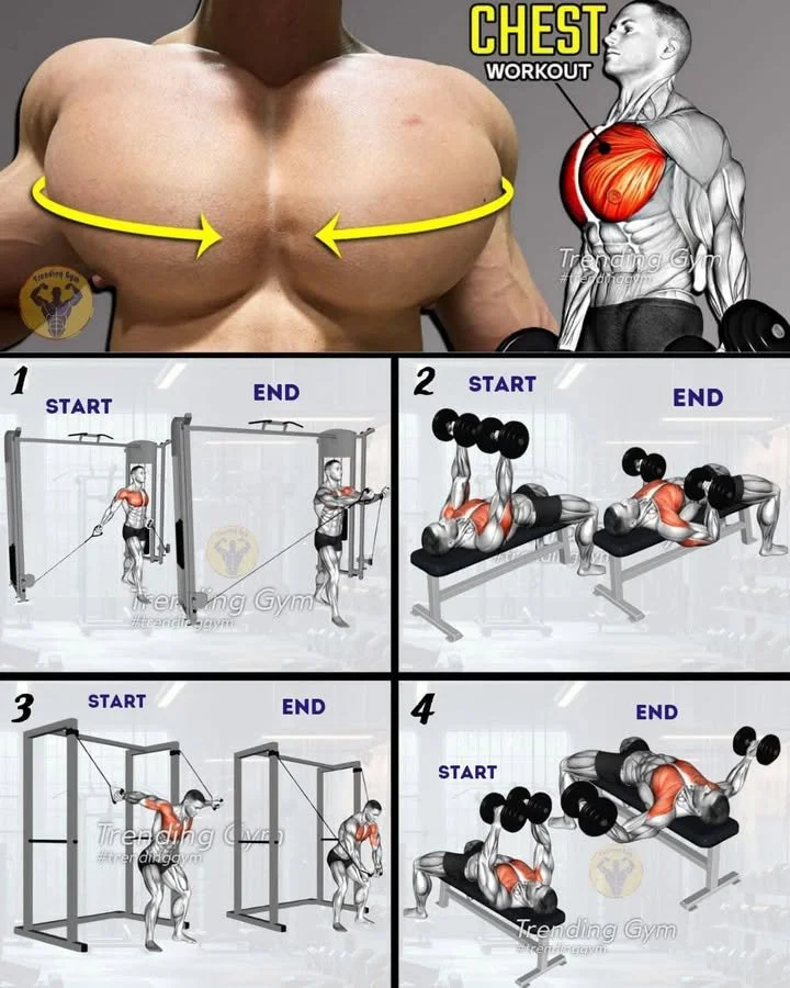 4 best chest workout routines with cable fly and dumbbell exercises