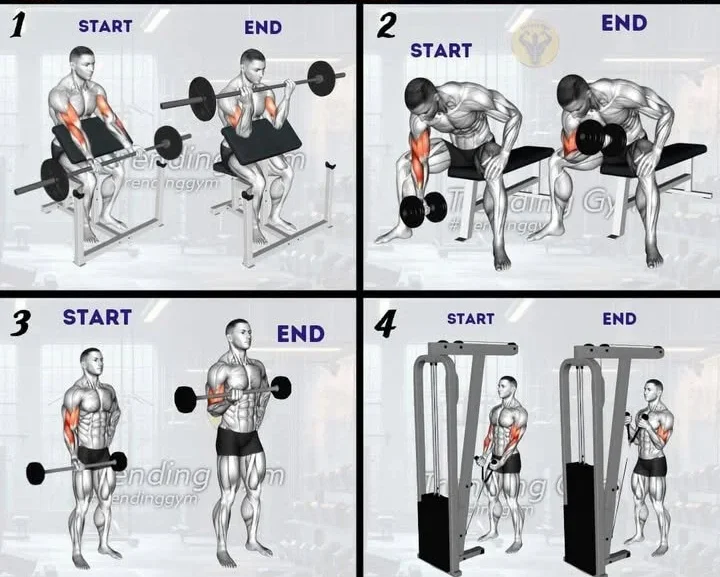 4 effective biceps exercises routine for arm workouts