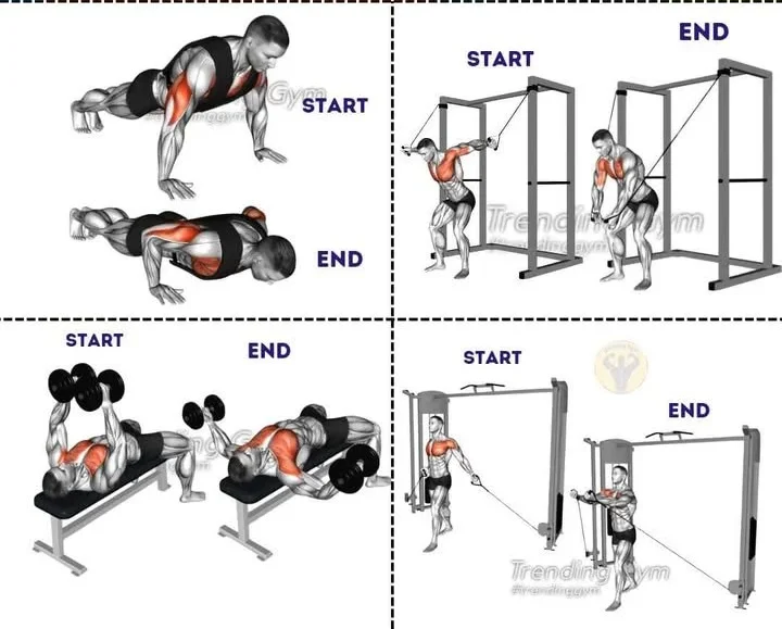 Chest workout routine with push-ups, dumbbell bench press, and cable low fly exercises.