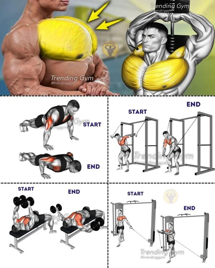 Home 2 Chest workout routine with push-ups, dumbbell bench press, and cable low fly exercises.