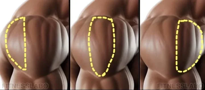 Dumbbell Shoulder Workout including shoulder press, front raise, and more.