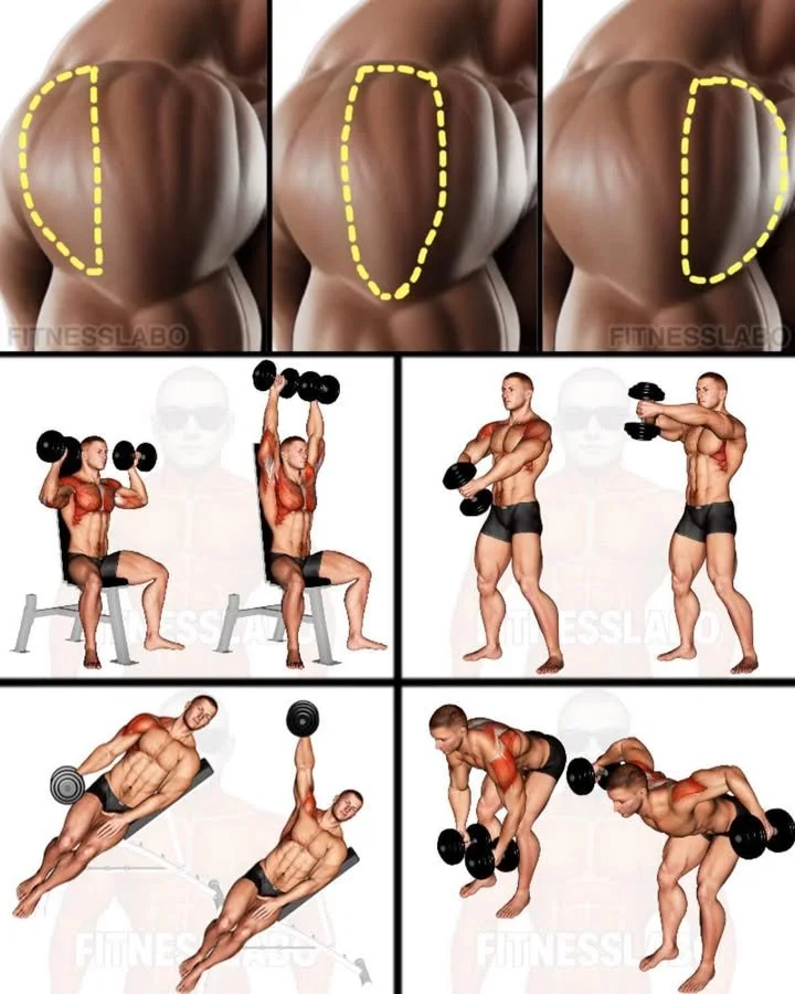 Dumbbell 3D Shoulder Workout including shoulder press, front raise, and more.