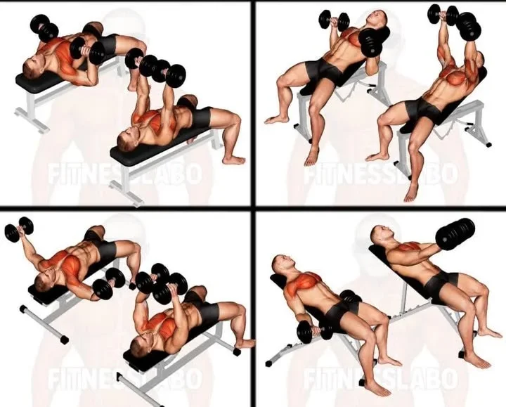 dumbbell-chest-workout