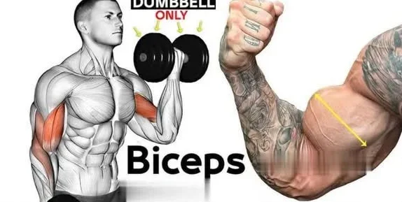 Dumbbell exercises for bigger biceps training