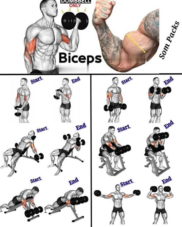 Dumbbell exercises for bigger biceps training