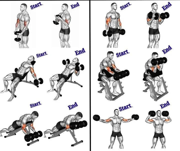 getting-bigger-biceps-with-dumbbells