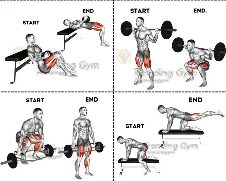 Exercises for building bigger glutes including barbell squats and hip extensions.