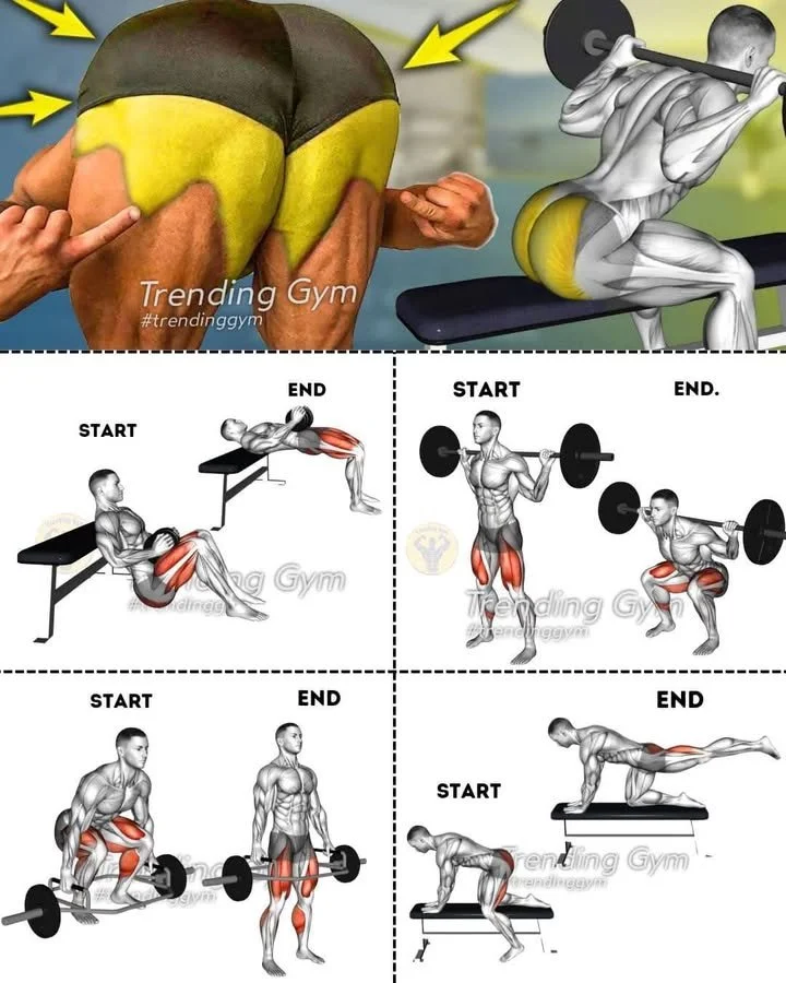 ✅ How To Build Bigger Glutes - Legs Workouts 1 Bench Hip Extension 2 Barbell Squats 3 Barbell Deadlift 4 Donkey Kicks 3 sets 10-12 reps #fitness #gym #exercise #workout #workoutroutine #exercis... 2 Exercises for building bigger glutes including barbell squats and hip extensions.