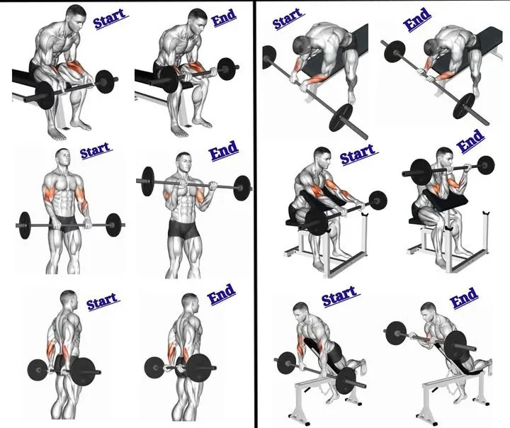 share and Support illustration showing people helping each other and sharing resources