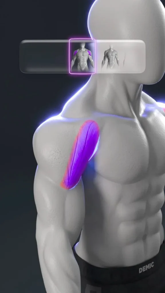 3D Shoulders Workout 13 Person performing a 3D shoulders workout for strength and definition.