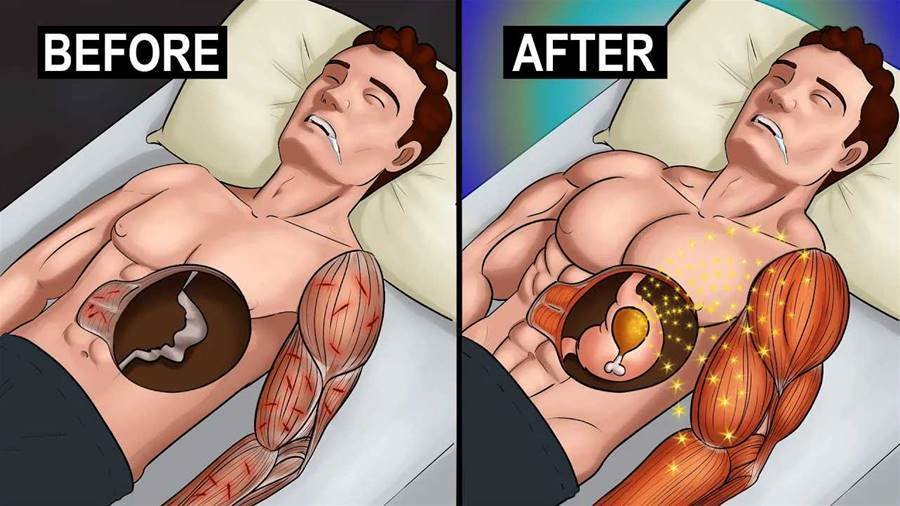 5 Surprising Benefits of Having Protein Before Bed You Didn’t Know About