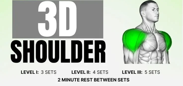 How to Build 3D Shoulders: Complete Workout Guide for Muscle Growth