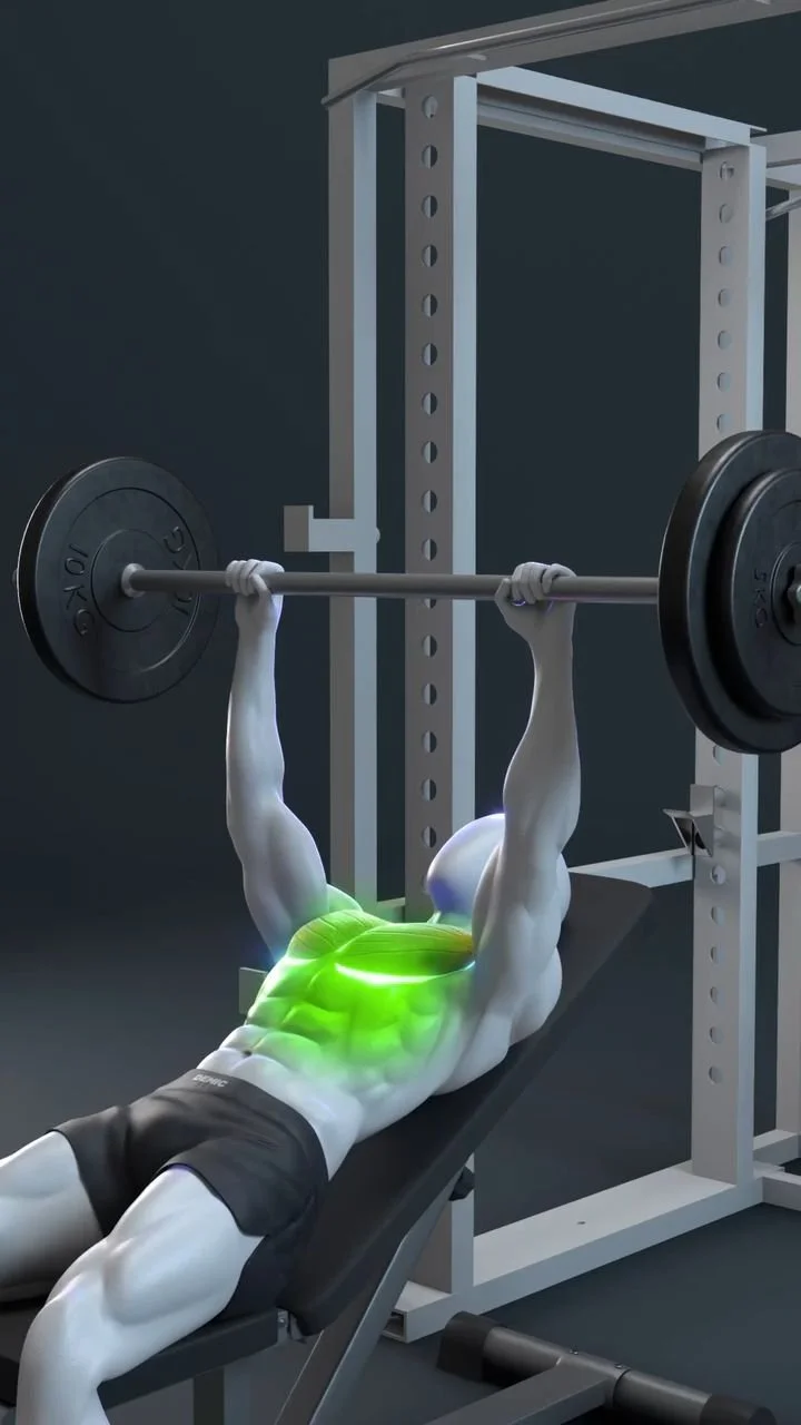 Home 7 Person demonstrating perfect incline bench press form for effective chest workouts