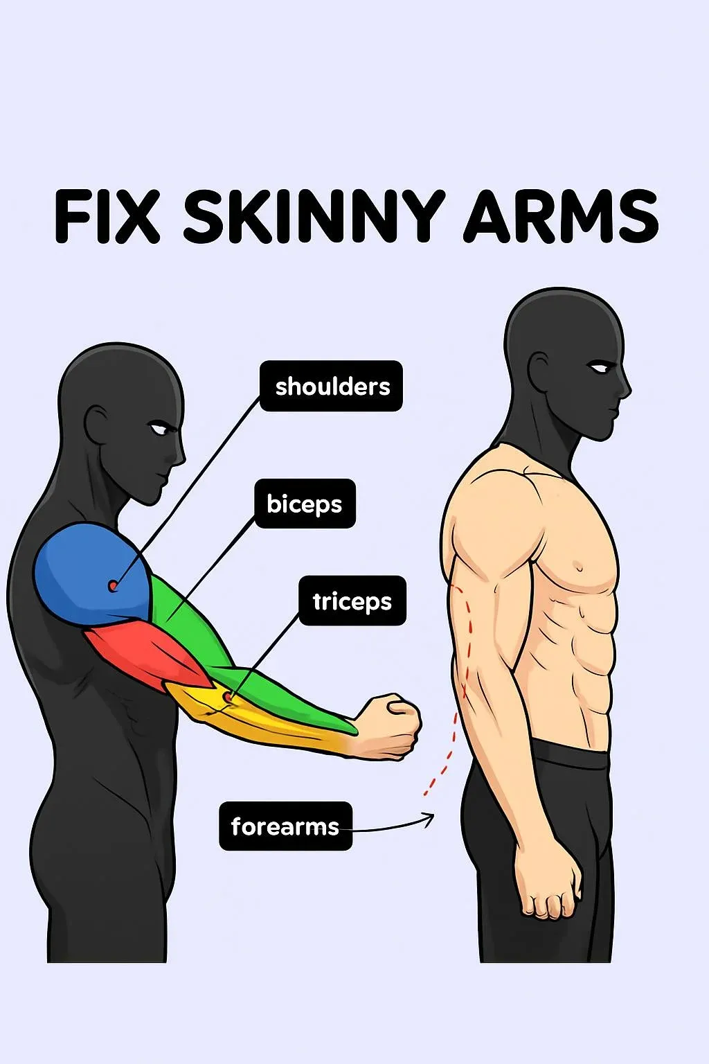 Skinny Arms? Do THIS Calisthenics Fix 11 Skinny Arms? Do THIS Calisthenics Fix