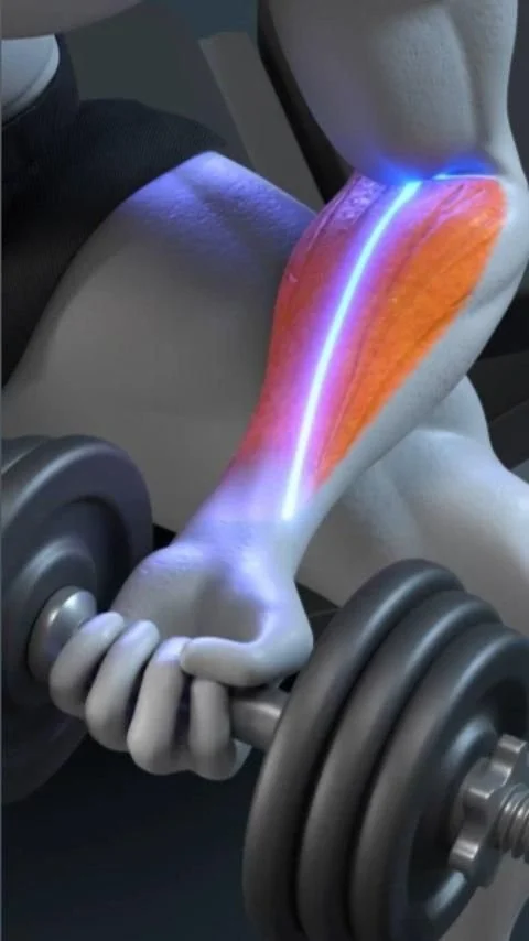 Arm workout video showcasing effective exercises for arm muscles with dumbbells