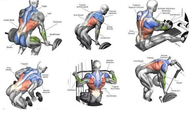 Lifter performing a 15-minute warm-up hack for better gains and joint health.