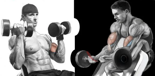 Comparison of incline dumbbell curl vs preacher curl for biceps peak development