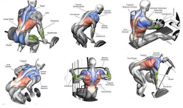 Want Bigger Gains & Healthier Joints? The 15‐Minute Warm‐Up Hack Every Lifter Needs