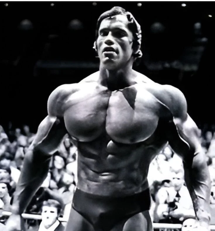 Arnold Schwarzenegger discussing diet tips for longevity and health