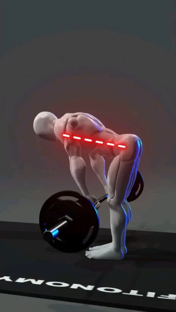 Comprehensive back workout routine for muscle strength and conditioning.