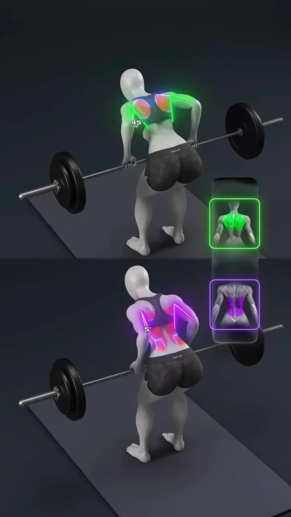 Person performing a barbell row exercise for latissimus dorsi muscle strength