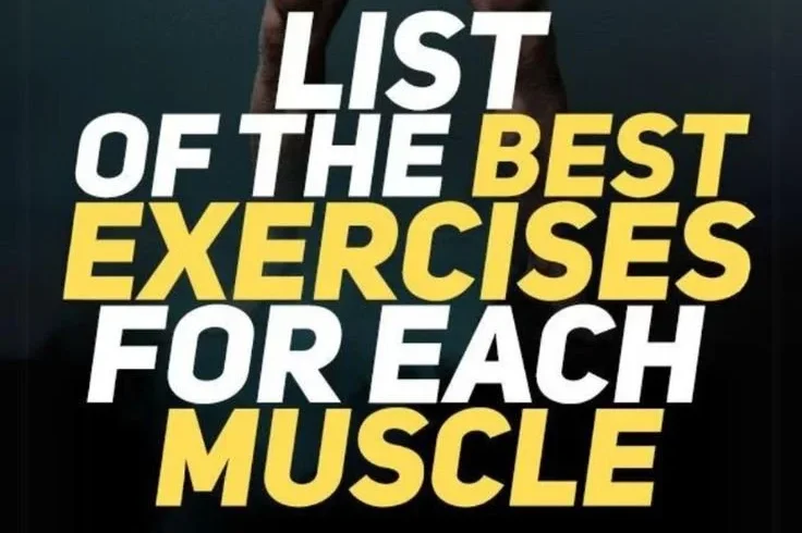 Illustration of exercises for complete muscle training targeting different muscle groups.