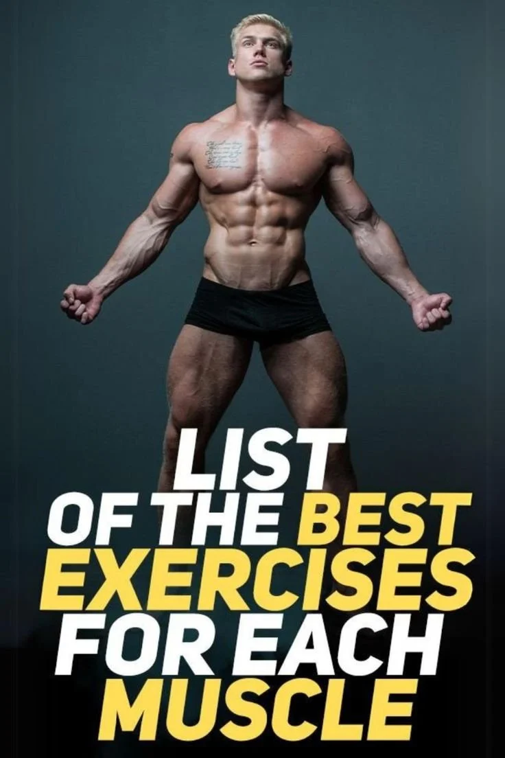 Complete Muscle Training: Best Exercises for Each Muscle Group