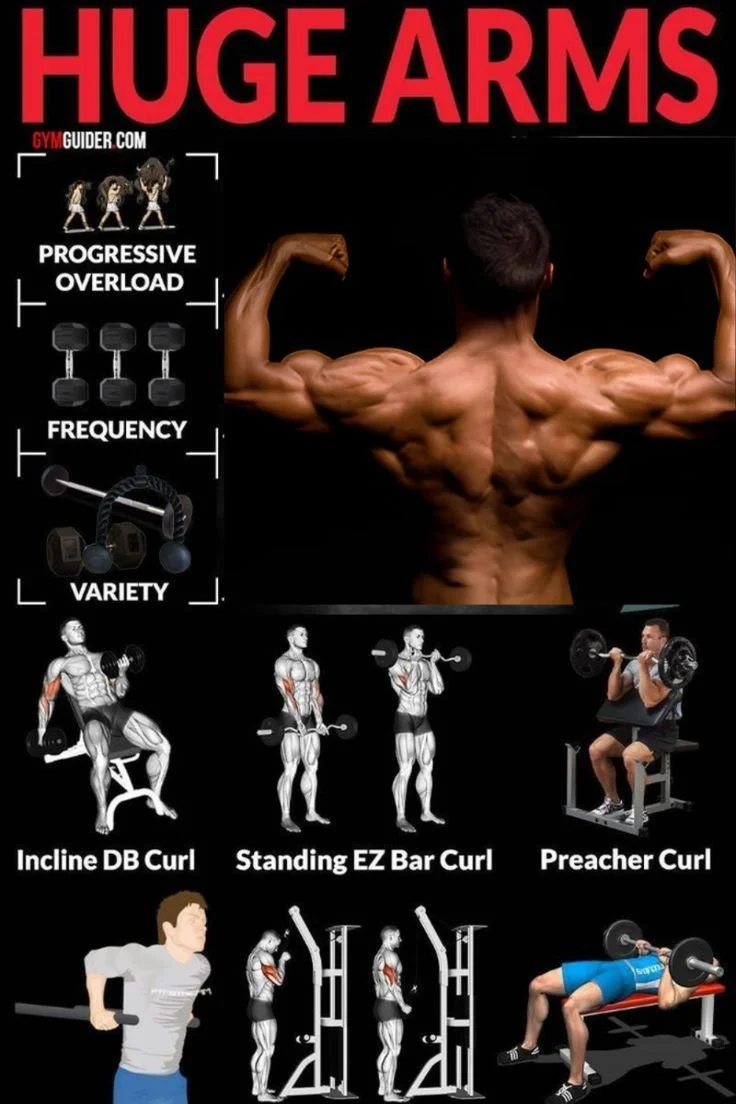 How to Get Huge Arms: Essential Exercises and Tips for Massive Muscle Growth