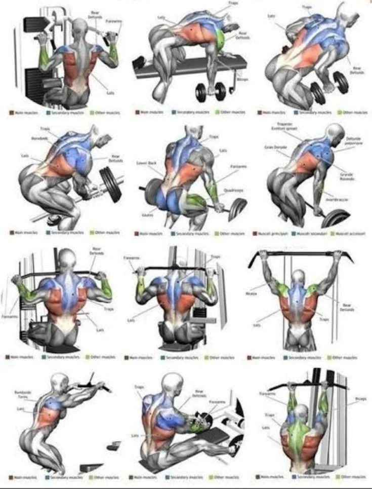 Back workout