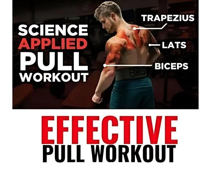 Men performing an effective pull workout routine for strength and muscle gains.