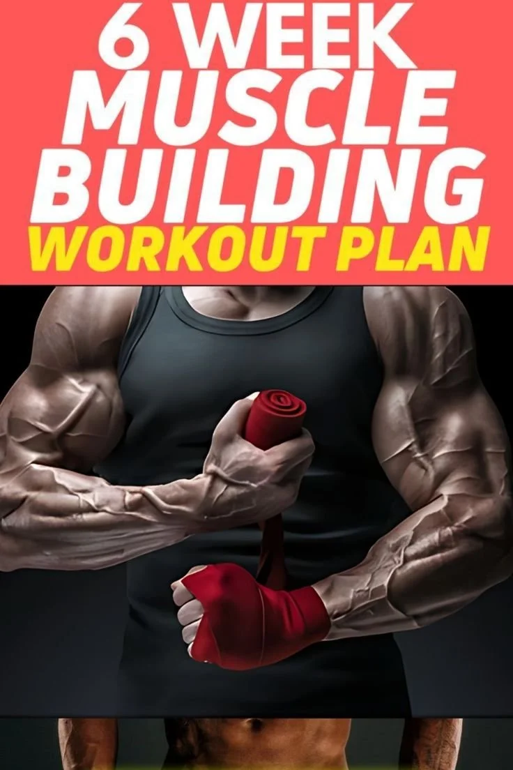 Simple guide to create an effective muscle building plan for maximum gains