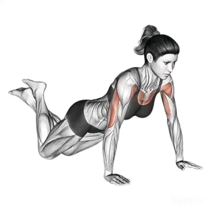 Knee push up