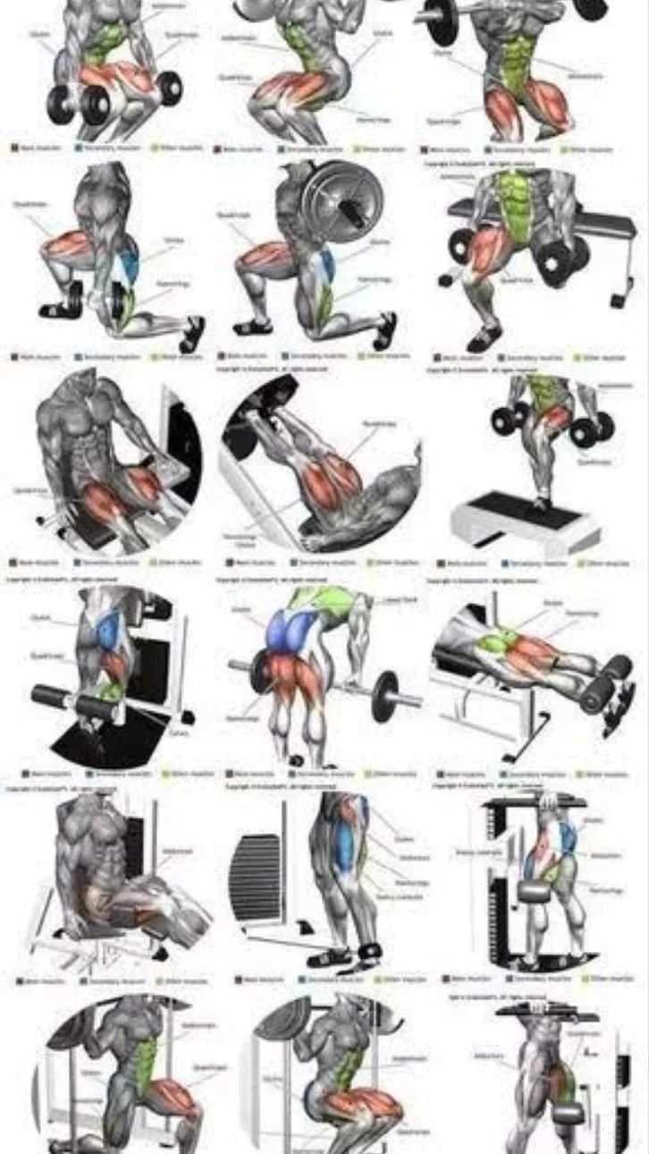 Home 10 Variety of leg exercises for a complete legs workout